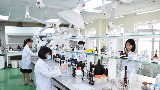 Bộ Nội vụ đề xuất miễn thuế thu nhập cá nhân 5 năm và cấp Thị thực nhân tài Việt Nam