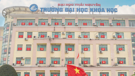 Lan tỏa niềm tự hào dân tộc từ những lá cờ nhỏ