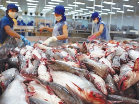 Thủy sản Việt Nam tăng trưởng ấn tượng, hướng tới mục tiêu 10 tỷ USD