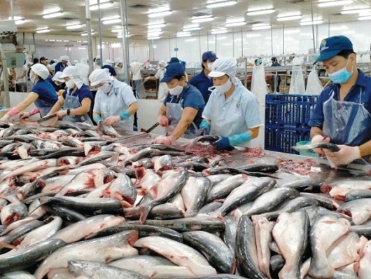 Xuất khẩu thủy sản Việt vượt khó, tăng trưởng ấn tượng trong 7 tháng