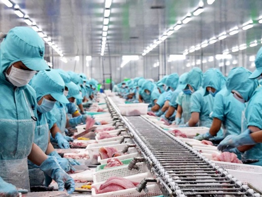 Xuất khẩu thủy sản Việt Nam bước vào giai đoạn mới