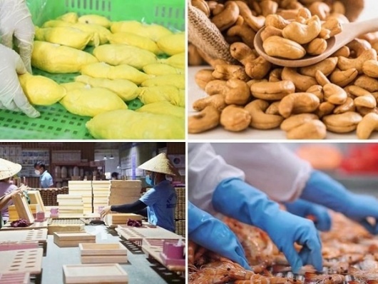 Ngành Nông nghiệp và Môi trường đặt mục tiêu xuất khẩu 74 tỷ USD trong năm 2026