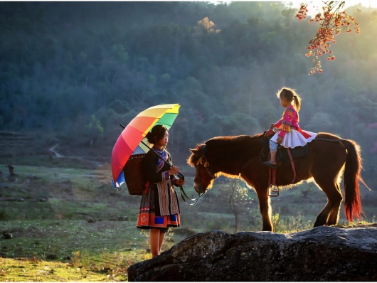 Ngựa trong mùa xuân Tây Bắc – Khúc tự tình giữa mây ngàn