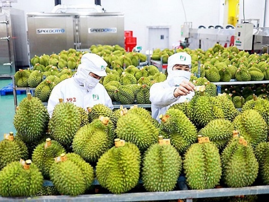 Xuất khẩu gạo và rau quả sang Trung Quốc tăng trưởng kỷ lục