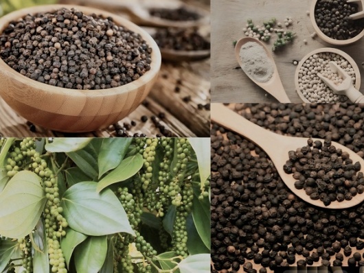 Xuất khẩu tăng tốc, doanh nghiệp hồ tiêu chủ động 'lá chắn' phòng ngừa rủi ro