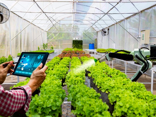 Phấn đấu đến năm 2030, cả nước có 500 tổ hợp tác ứng dụng công nghệ cao vào sản xuất
