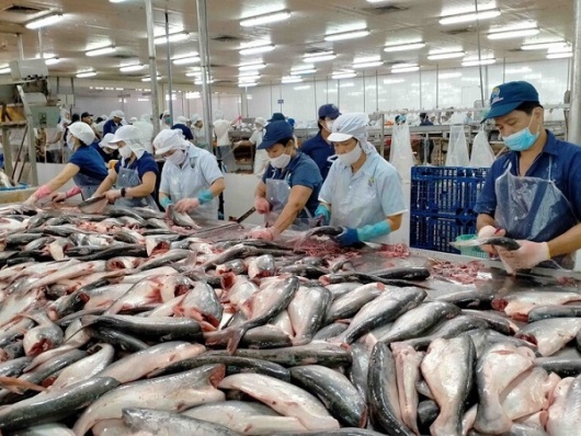 Lộ trình đưa xuất khẩu nông sản cán đích 100 tỷ USD vào năm 2027