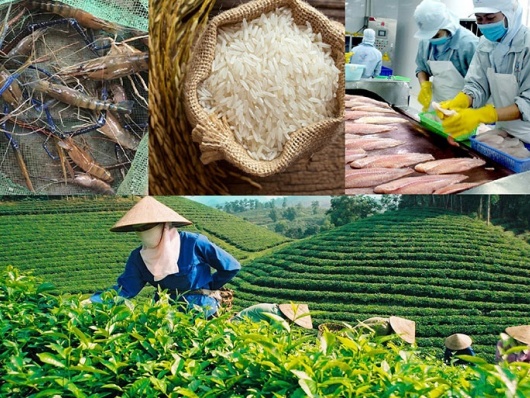 Chiến lược thúc đẩy xuất khẩu nông lâm thủy sản vượt ngưỡng 74 tỷ USD
