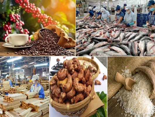 Xuất khẩu nông, lâm, thủy sản tăng trưởng ấn tượng, đạt gần 42,8 tỷ USD