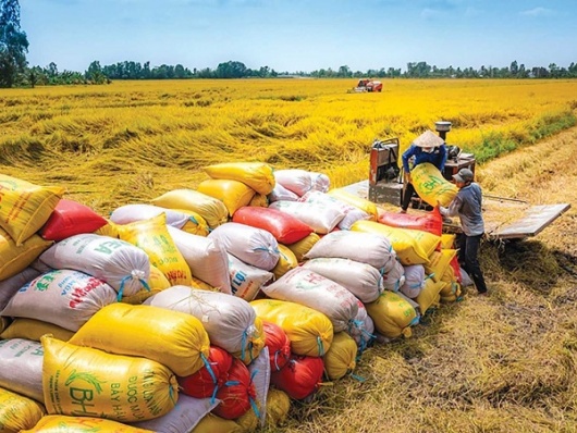 Giải pháp thúc đẩy xuất khẩu gạo, góp phần tăng trưởng 2 con số