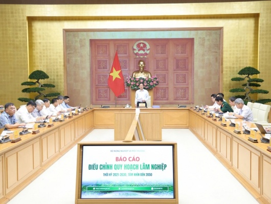 Quy hoạch lâm nghiệp phải giải quyết thực chất sinh kế, để đời sống người giữ rừng tốt hơn