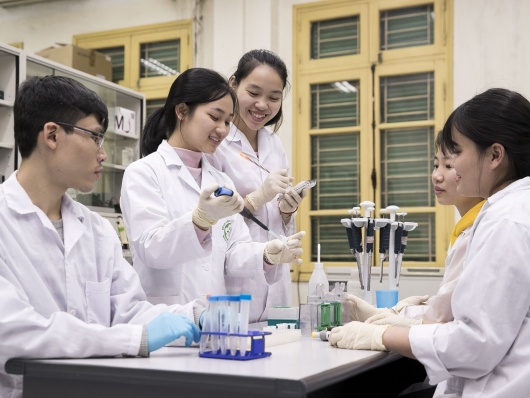 Tập trung thu hút nhân tài, tăng cường kết nối cung - cầu lao động