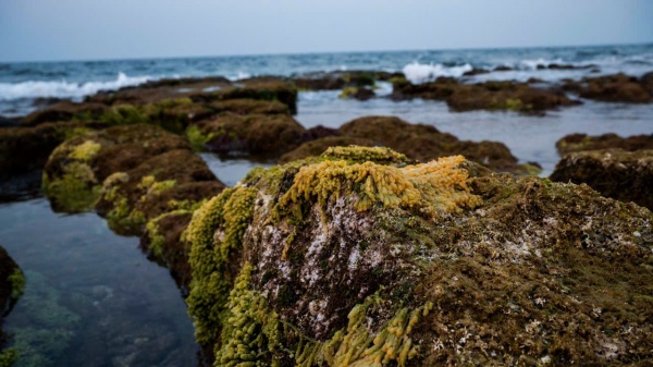 Đảo tiền tiêu Cồn Cỏ - “viên ngọc thô” của tỉnh Quảng Trị