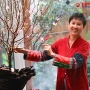 Nghệ nhân Thanh Hiền và nghệ thuật cắm hoa Ikebana đón Tết Nguyên Đán Ất Tỵ