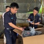 Hải quan phát hiện hơn 1.900 vụ buôn lậu, hàng giả trong một tháng