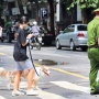 Từ 1/8, phạt tới 2 triệu đồng nếu dắt chó ra đường không rọ mõm