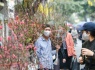Hà Nội sẽ tổ chức 78 điểm chợ hoa Xuân dịp Tết 2022