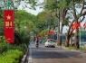 Phố phường rực rỡ cờ hoa chào mừng 49 năm Ngày Giải phóng miền Nam