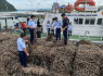 Lực lượng chức năng Quảng Ninh phát hiện 63 tấn hàu giống không rõ xuất xứ 