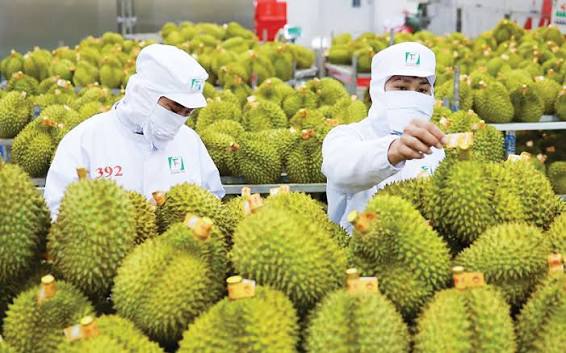 Xuất khẩu rau quả Việt Nam tăng trưởng mạnh, hướng đến mốc 10 tỷ USD